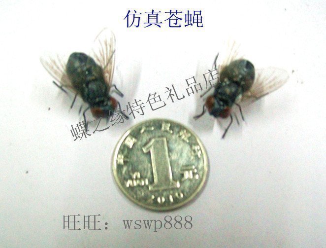 High simulation fly Simulation Insects Insects Fridge Clay Insects Four small flies Mosquitoin the Toy/Childs/Puzzle/Building block/Model , Simulation/Play house toys , Simulation/Animal dolls category - from Buy2taobao.com to provide professional Taobao agent buy service