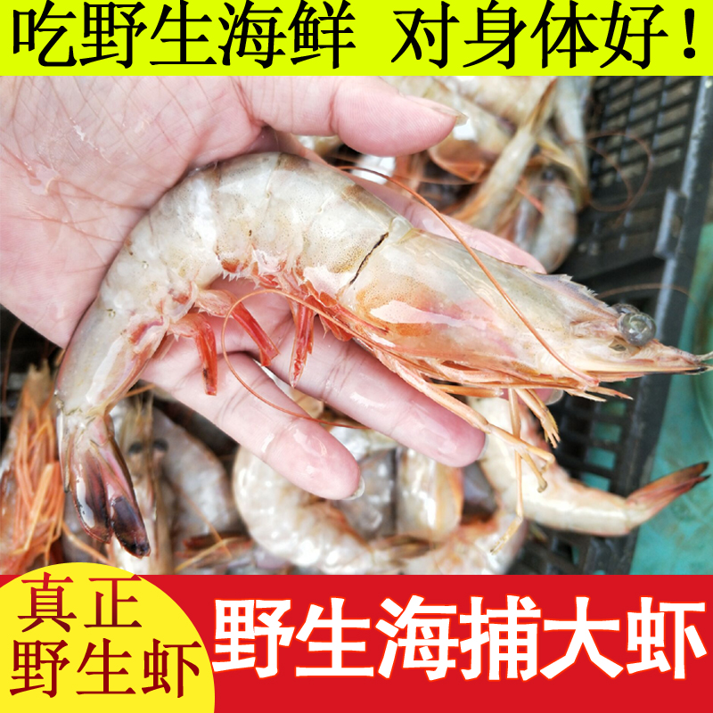 對蝦 鮮活新鮮冷凍海鮮大個野生大對蝦1斤15-16只海鮮4斤包郵順豐在類目 水產肉類/新鮮蔬果/熟食, 海鮮/水產品/製品, 蝦類, 活蝦中 - 來自Buy2taobao.com提供專業的淘寶代購服務