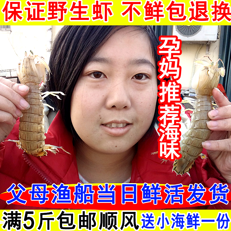 皮皮虾 鲜活熟冻虾爬子琵琶虾富贵虾濑尿虾爬爬虾爬虾姑 5份包邮|ruв категории водной мясо/свежие фрукты и овощи/еда, морепродукты/водные продукты/изделия, креветки, жить креветки - от Buy2taobao.com для оказания профессиональной услуги покупки агента Taobao