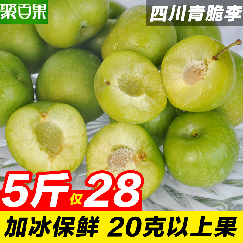 【聚百果】四川李子脱骨李青脆李四川新鲜水果应季水果土李子5斤在类目 水产肉类/新鲜蔬果/熟食, 新鲜水果, 李子中 - 来自Buy2taobao.com提供专业的淘宝代购服务