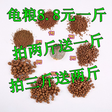 龟粮巴西龟草龟鳄龟乌龟饲料虾干大中小颗粒幼龟成龟限时一斤包邮在类目 宠物/宠物食品及用品, 水族世界, 观赏龟/鳖饲料中 - 来自Buy2taobao.com提供专业的淘宝代购服务