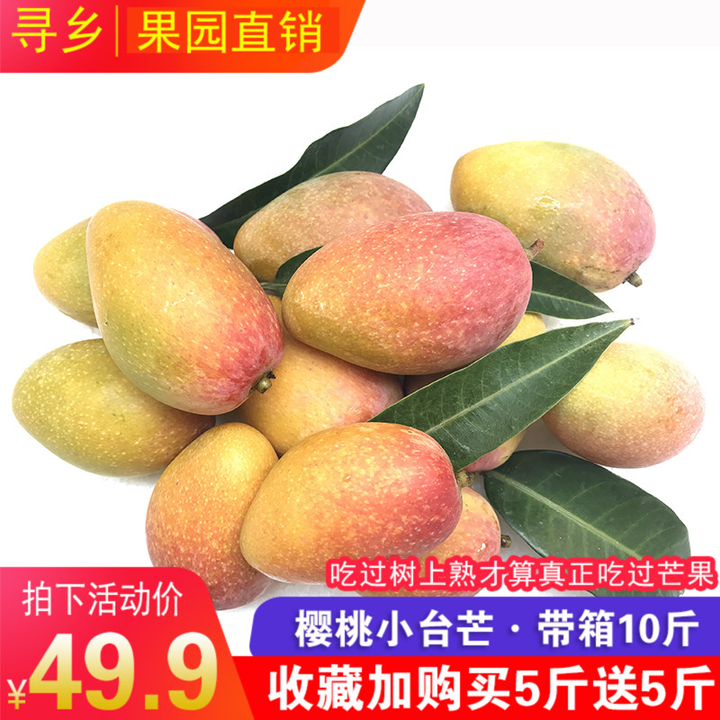 Hainan Royal Mango 10 fresh Season fruit Tree Hongjinlong Sanyain the Aquatic meat/Fresh fruits and vegetables/Cooked , Fresh fruit , Other category - from Buy2taobao.com to provide professional Taobao agent buy service