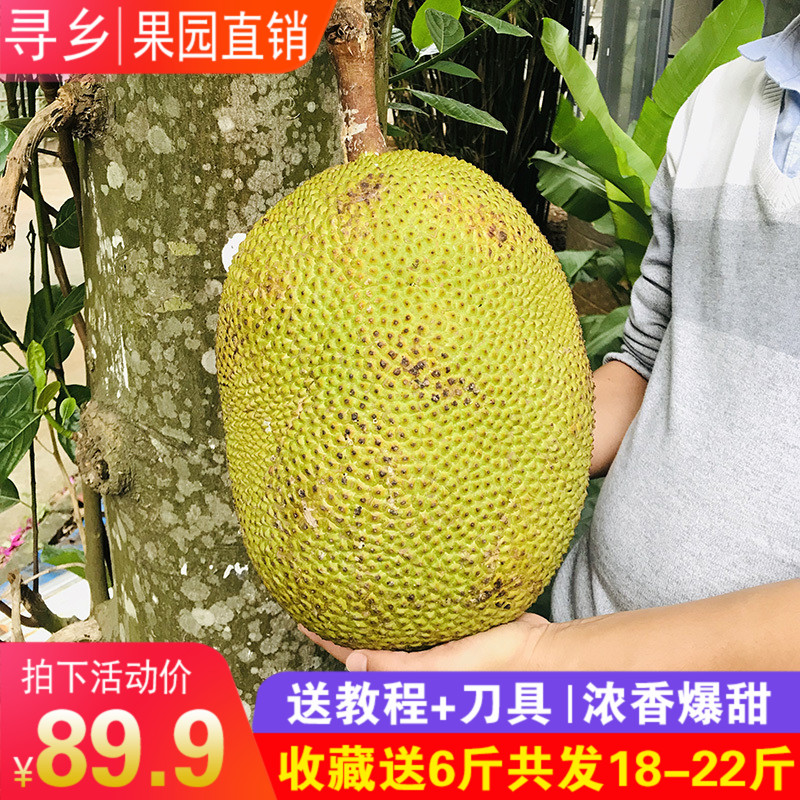 Net content 18-22 Hainan jackfruit fresh fruit Hainan The Baltic Durianin the Aquatic meat/Fresh fruits and vegetables/Cooked , Fresh fruit , Other category - from Buy2taobao.com to provide professional Taobao agent buy service