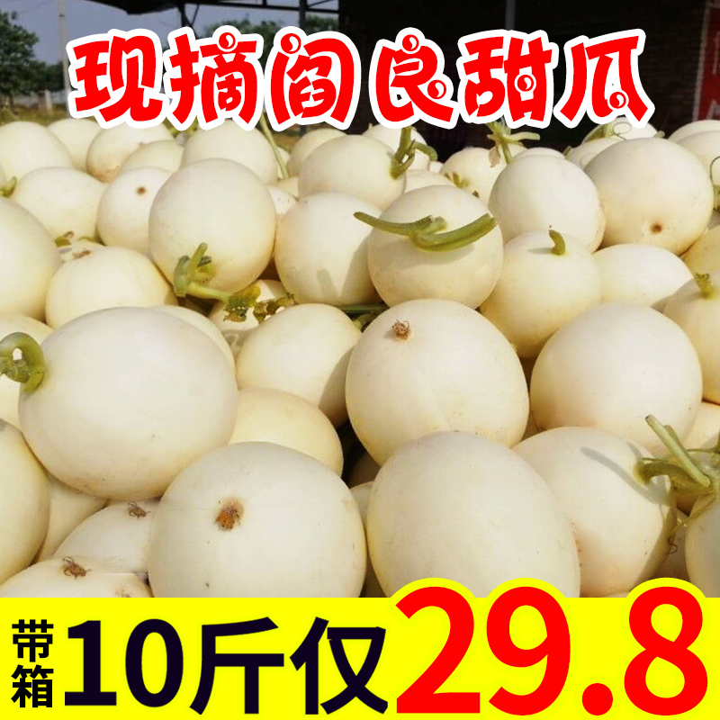 当季陕西阎良甜瓜带箱10斤新鲜水果包邮现摘时令应季香瓜蜜瓜白瓜在类目 水产肉类/新鲜蔬果/熟食, 新鲜水果, 甜瓜中 - 来自Buy2taobao.com提供专业的淘宝代购服务