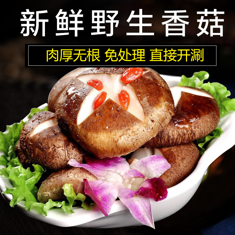 野生香菇干货火锅食材干蘑菇干香菇火锅配菜香菇涮菜菌菇干香菇在类目 粮油米面/南北干货/调味品, 南北干货/肉类干货, 干货/土特产, 香菇类中 - 来自Buy2taobao.com提供专业的淘宝代购服务