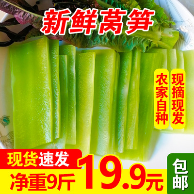 鲜贵云南新鲜莴笋莴苣净重9斤 叶菜类应当季蔬菜农家菜青笋特产10