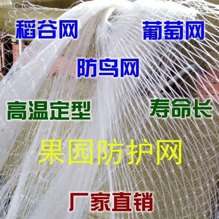 防鸟网家用塑料果树果园保护樱桃网围栏网防护网护栏网养殖用枸杞在类目 鲜花速递/花卉仿真/绿植园艺, 园艺用品, 其它园艺用品中 - 来自Buy2taobao.com提供专业的淘宝代购服务