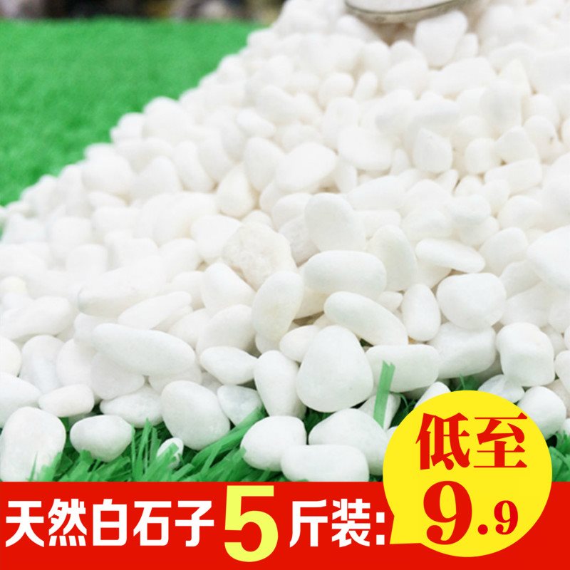 多肉植物鋪面石白色小石子白玉石魚缸裝飾五彩石鵝卵石白石頭包郵在類目 鮮花速遞/花卉仿真/綠植園藝, 園藝用品, 其它園藝用品中 - 來自Buy2taobao.com提供專業的淘寶代購服務