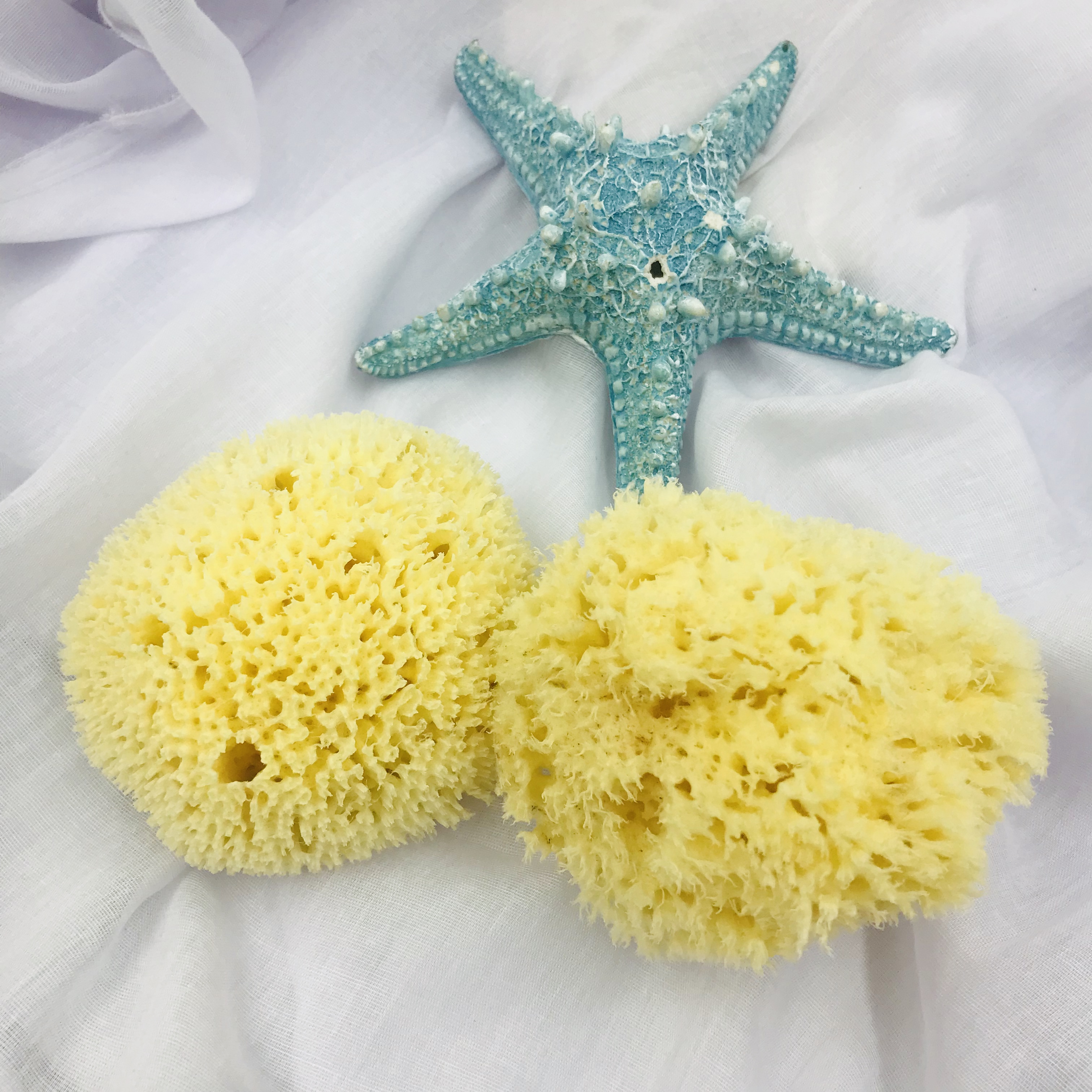 Greece Natural sponge Honeycomb Bleaching sponge baby pregnant woman take a shower sponge Mediterranean Sea natural Bath ballin the Family/Personal Cleaning Tools , Personal care cleaning appliances , Surface flutter/Puff category - from Buy2taobao.com to provide professional Taobao agent buy service