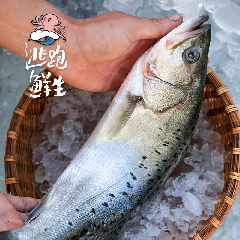 逃跑鲜生 鲈鱼 卢鱼东山岛野生海鲜活冻深海钓新鲜冷冻1.5斤海鱼|ms在類目 daging perikanan/Buah-buahan segar dan sayur-sayuran/dimasak, makanan laut/produk akuatik/produk, lain中 - 來自Buy2taobao.com提供專業的淘寶代購服務