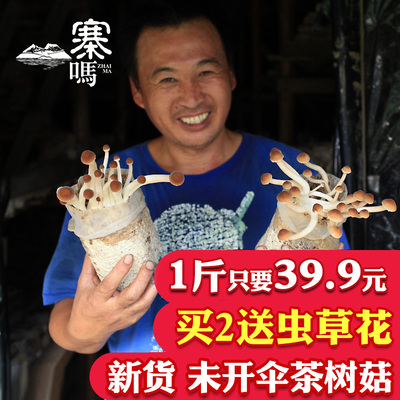 【寨吗】新货茶树菇干货500g农家自产茶薪菇农家种植无硫广昌特产