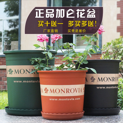 正品加仑盆加厚树脂塑料花盆月季多肉绿萝阳台种花种菜园艺批发