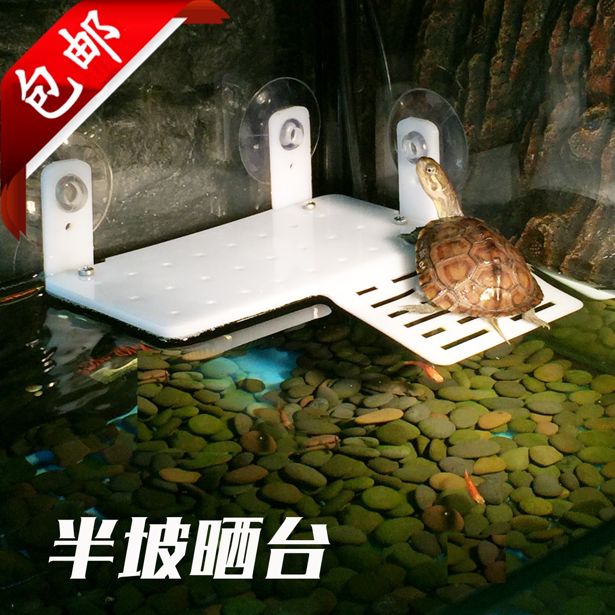 烏龜曬台爬坡龜台浮島浮台魚缸水造景用品休息平台大號爬梯曬背台在類目 寵物/寵物食品及用品, 爬蟲/鳴蟲及其用品, 爬蟲/鳴蟲用具中 - 來自Buy2taobao.com提供專業的淘寶代購服務