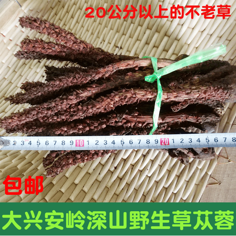 不老草 野生 草苁蓉 山苞米 列当 泡酒料 大兴安岭草苁蓉250g包邮|ruв категории традиционные питательный пища, другие традиционные тоник, Bulao Херб - от Buy2taobao.com для оказания профессиональной услуги покупки агента Taobao