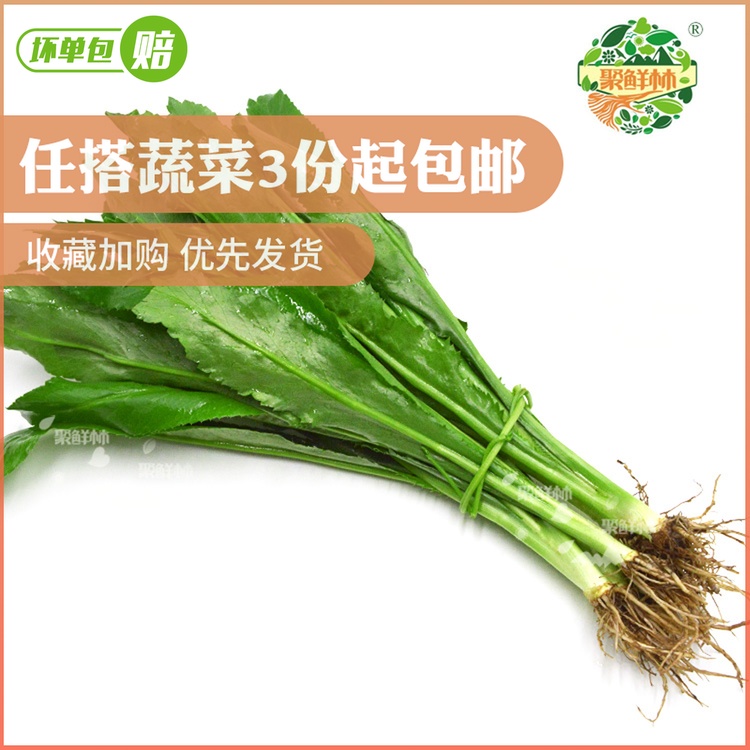聚鲜林新鲜刺芹大芫荽300g泰国大香菜洋芫茜鹅芥调味香料冬阴泰料在类目 水产肉类/新鲜蔬果/熟食, 新鲜蔬菜/蔬菜制品, 新鲜蔬菜, 其它中 - 来自Buy2taobao.com提供专业的淘宝代购服务