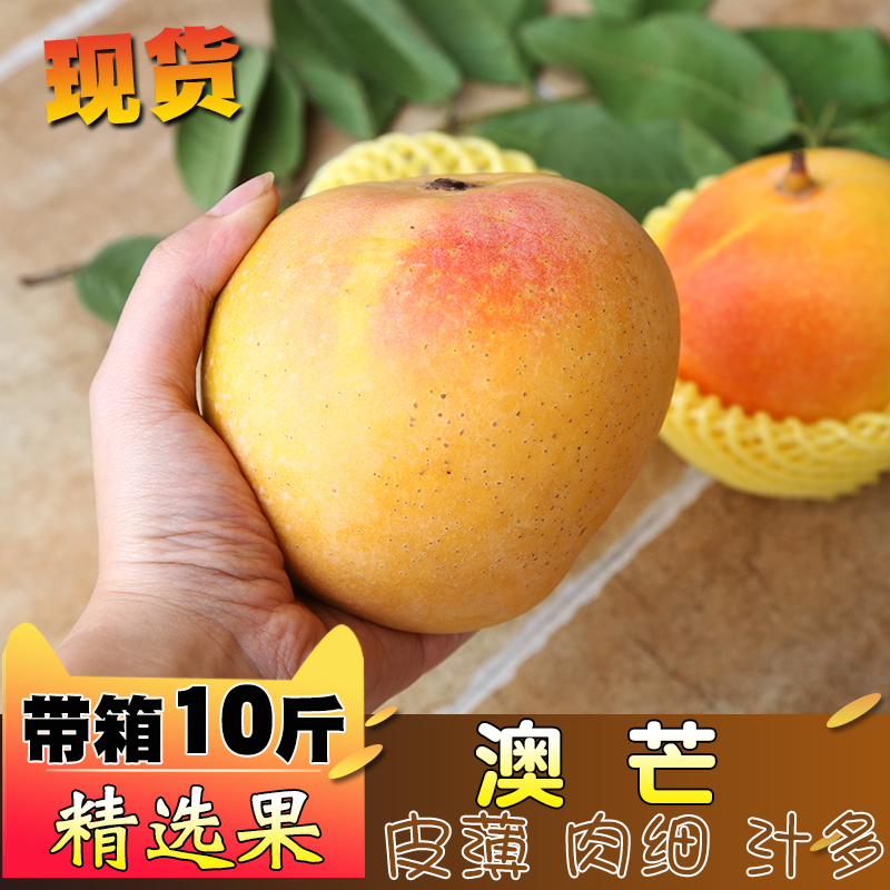 澳芒新鲜带箱10斤苹果芒水果应季胜进口澳洲海南芒果越南特大芒果在类目 水产肉类/新鲜蔬果/熟食, 新鲜水果, 芒果中 - 来自Buy2taobao.com提供专业的淘宝代购服务