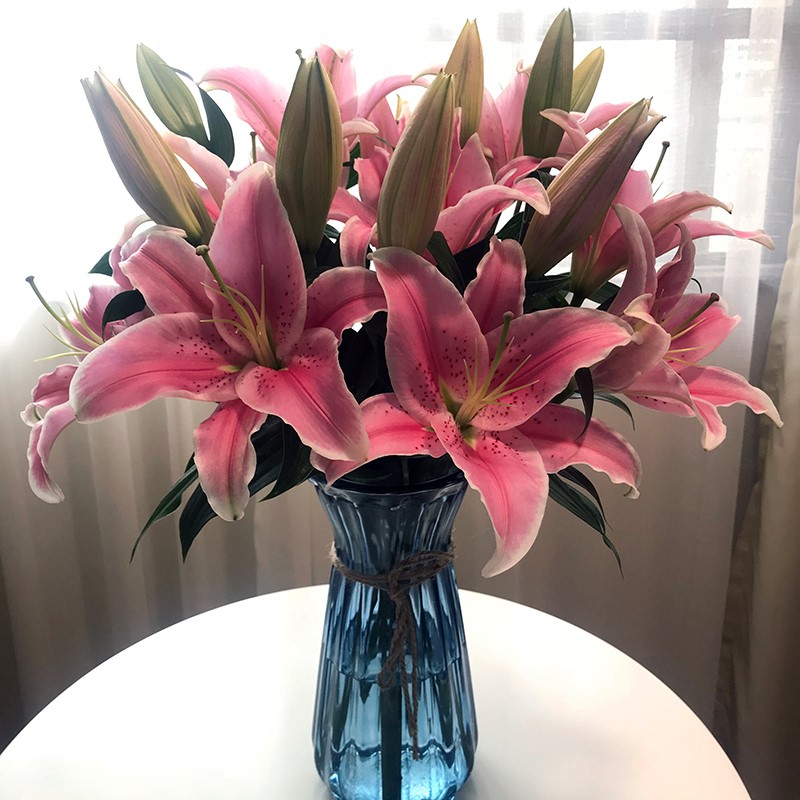 鲜花直批 散装 混搭云南昆明基地直发鲜花百合花家用办公室插|msdalam kategori penghantaran bunga/bunga simulasi/tumbuhan berkebun, penghantaran bunga (bandar) - dari Buy2taobao.com untuk memberikan perkhidmatan ejen Taobao profesional membeli