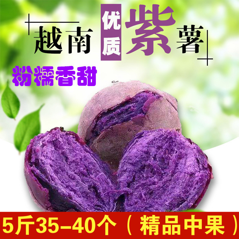 越南進口小紫薯新鮮地瓜紫芋頭現挖 壹件5斤包郵 2件10斤包郵的糯在類目 水產肉類/新鮮蔬果/熟食, 新鮮蔬菜/蔬菜製品, 新鮮蔬菜, 番薯中 - 來自Buy2taobao.com提供專業的淘寶代購服務