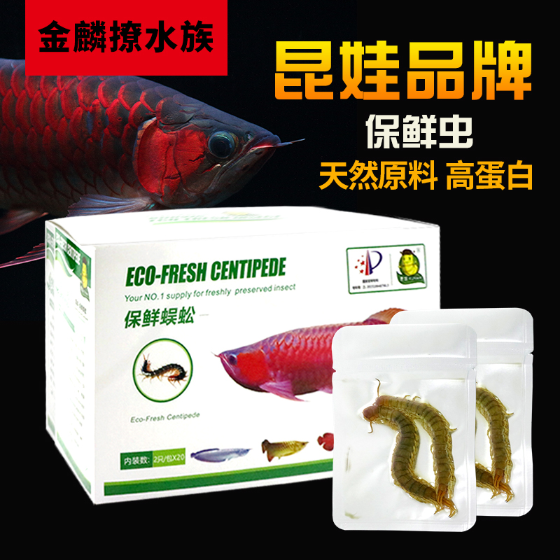 龙鱼饲料活鱼雷龙鱼饲料增色蚂蚱冷冻龙鱼饲料金蛙保鲜昆虫|msdalam kategori haiwan peliharaan/makanan haiwan dan bekalan, Aquarium World, makanan ikan hiasan - dari Buy2taobao.com untuk memberikan perkhidmatan ejen Taobao profesional membeli