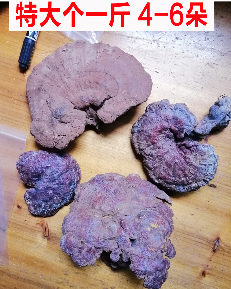 贵州深山纯野生灵芝特大个赤灵芝红灵芝苦味切片500g一斤装在类目 传统滋补营养品, 灵芝, 整枝灵芝中 - 来自Buy2taobao.com提供专业的淘宝代购服务