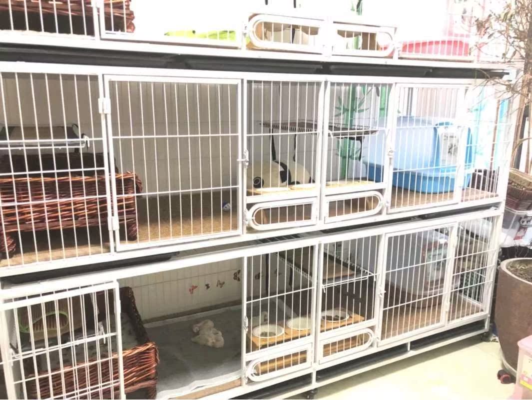 笼具长2米16笼猫笼子狗笼大小型犬寄养兔笼 猫笼三层防锈繁殖在类目 宠物/宠物食品及用品, 猫/狗日用品, 笼子中 - 来自Buy2taobao.com提供专业的淘宝代购服务
