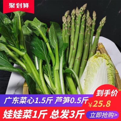 新鲜蔬菜 时令娃娃菜 广东菜心 芦笋 组合发3斤 总发3斤