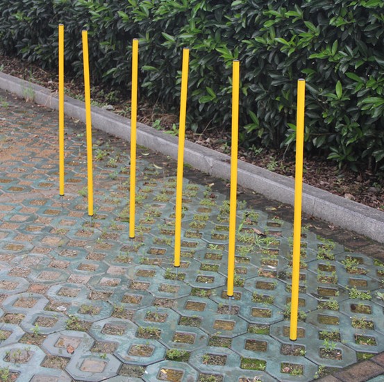 Pet Trainer brand new Environmentally friendly Pets Agile bar Dogs Outdoor sport Slalomin the Pet/Pet food and supplies , Pet Life Services , Pet Training category - from Buy2taobao.com to provide professional Taobao agent buy service