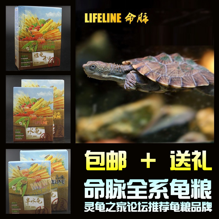 Lifeline Turtle Food Lifeline Turtle Food Adult Brazil Tortoise Turtle Food Turtles feed 300g900gin the Pet/Pet food and supplies , Aqua World , Turtle Watch/Turtle feed category - from Buy2taobao.com to provide professional Taobao agent buy service
