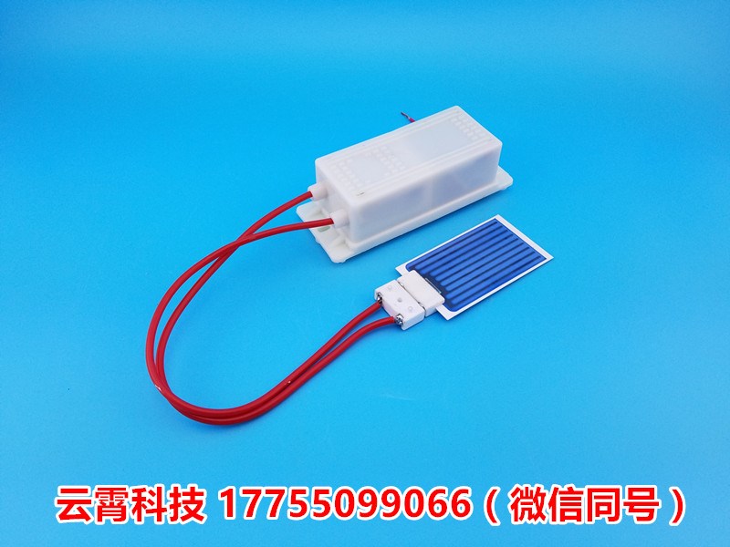 臭氧发生器220V 3.5g臭氧发生器电源+防潮陶瓷臭氧片|ruв категории жизнь прибор, Другие бытовой техники, дезинтоксикация/кислород машины - от Buy2taobao.com для оказания профессиональной услуги покупки агента Taobao