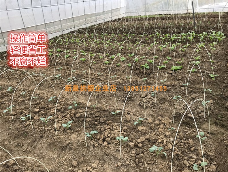 5mm蔬菜小拱棚支架育苗拱杆竿防曬網防蟲網保溫膜葡萄避雨棚農用在類目 鮮花速遞/花卉仿真/綠植園藝, 園藝用品, 其它園藝用品中 - 來自Buy2taobao.com提供專業的淘寶代購服務