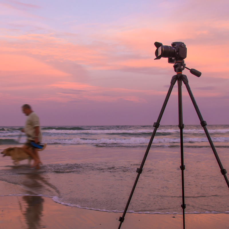JINGJIA Espod CX Monosyllabic reaction camera Photography Camera tripod three-dimensional Yuntai multi-function small-scale lightin the 3C Digital Accessories, SLR/Single-camera accessories , Tripod/PTZ , Tripod category - from Buy2taobao.com to provide professional Taobao agent buy service