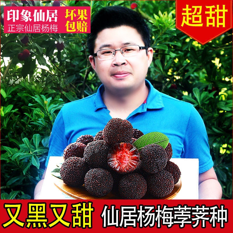 印象仙居新鲜杨梅黑炭梅甜时令应季孕妇水果荸荠杨梅在类目 水产肉类/新鲜蔬果/熟食, 新鲜水果, 其它中 - 来自Buy2taobao.com提供专业的淘宝代购服务