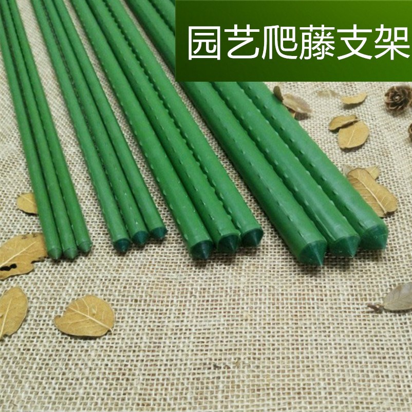 园艺花支架家用爬藤架室内盆栽植物绿萝固定铁环花架月季花支柱在类目 鲜花速递/花卉仿真/绿植园艺, 园艺用品, 其它园艺用品中 - 来自Buy2taobao.com提供专业的淘宝代购服务