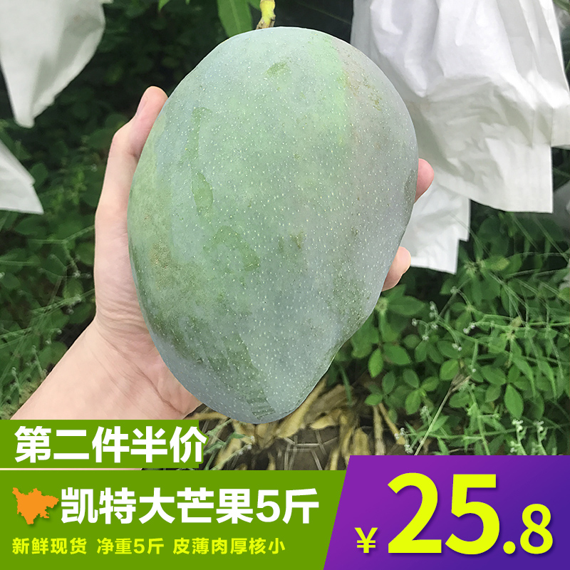 四川攀枝花凯特大芒果新鲜5斤包邮大青芒孕妇水果一级凯特芒果10|ruв категории водной мясо/свежие фрукты и овощи/еда, свежие фрукты, манго - от Buy2taobao.com для оказания профессиональной услуги покупки агента Taobao