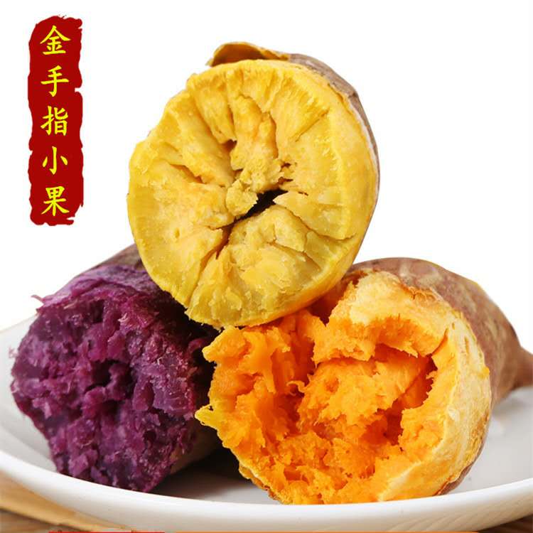 【三种番薯】紫薯鸡蛋黄红薯甜薯板栗薯香糯番薯小香薯地瓜5斤包|msdalam kategori daging perikanan/Buah-buahan segar dan sayur-sayuran/dimasak, sayur-sayuran segar/Vegetable Products, sayur-sayuran segar, ubi keledek - dari Buy2taobao.com untuk memberikan perkhidmatan ejen Taobao profesional membeli