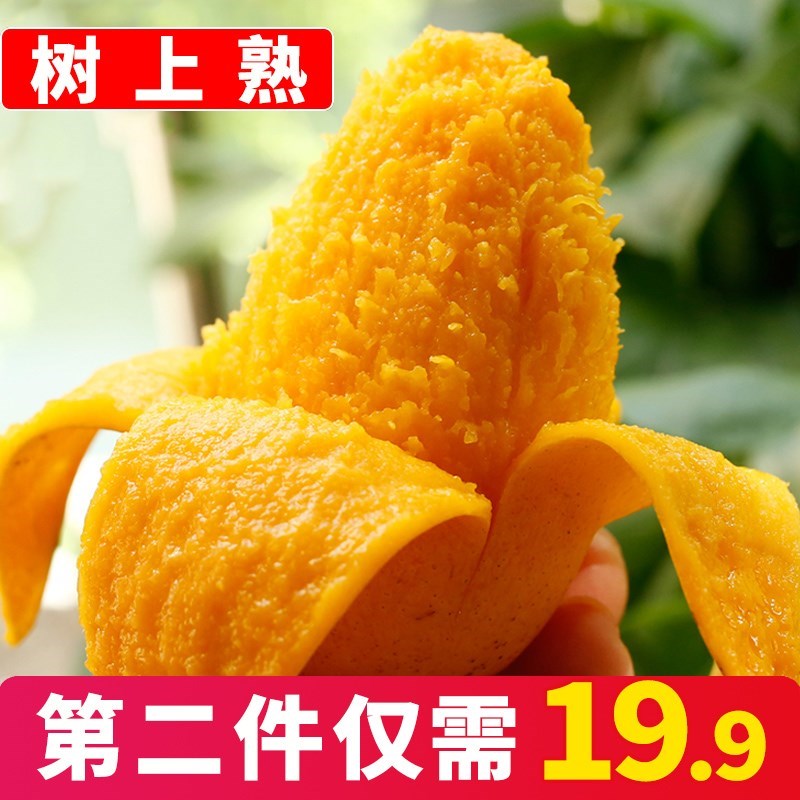 【香浓多汁】拍2件发带箱10斤小台农芒果5斤新鲜孕妇水果海南台芒|msdalam kategori Kamus elektronik/buku kertas elektronik/alat tulis, Printing Produk, beg lain - dari Buy2taobao.com untuk memberikan perkhidmatan ejen Taobao profesional membeli