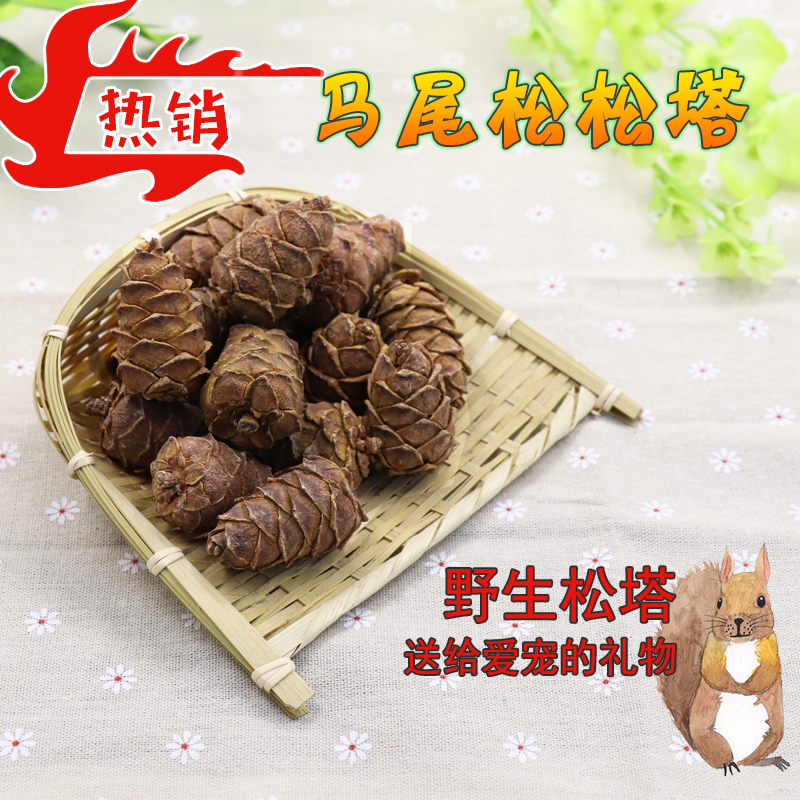 包邮晒干松鼠粮食马尾松塔魔王松鼠食物黄山雪地金花松鼠用品500G|msdalam kategori haiwan peliharaan/makanan haiwan dan bekalan, hamsters kelas haiwan peliharaan dan lain-lain kecil, Feed/makanan ringan - dari Buy2taobao.com untuk memberikan perkhidmatan ejen Taobao profesional membeli