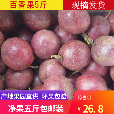广西果园直供新鲜水果百香果西番莲泡沫箱5斤中小果包邮酸爽可口|ruв категории водной мясо/свежие фрукты и овощи/еда, свежие фрукты, Маракуйя - от Buy2taobao.com для оказания профессиональной услуги покупки агента Taobao