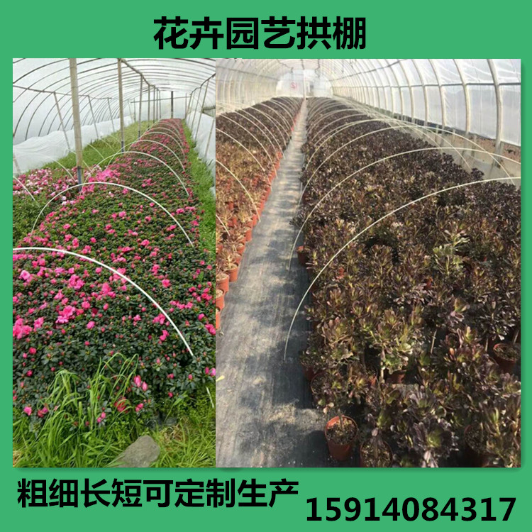 5mm直径玻璃钢弹力棒新型花卉蔬菜育苗棚园艺保温弓棚支架地拱杆在类目 鲜花速递/花卉仿真/绿植园艺, 园艺用品, 其它园艺用品中 - 来自Buy2taobao.com提供专业的淘宝代购服务
