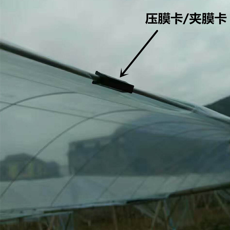 grape Rain Yamo Plastic Ceiling Yamo Film clip steel wire 2.4-4.0mm currency 1000 individualin the Flower delivery/Flowers simulation/Plants gardening , Gardening supplies , Other Garden Supplies category - from Buy2taobao.com to provide professional Taobao agent buy service
