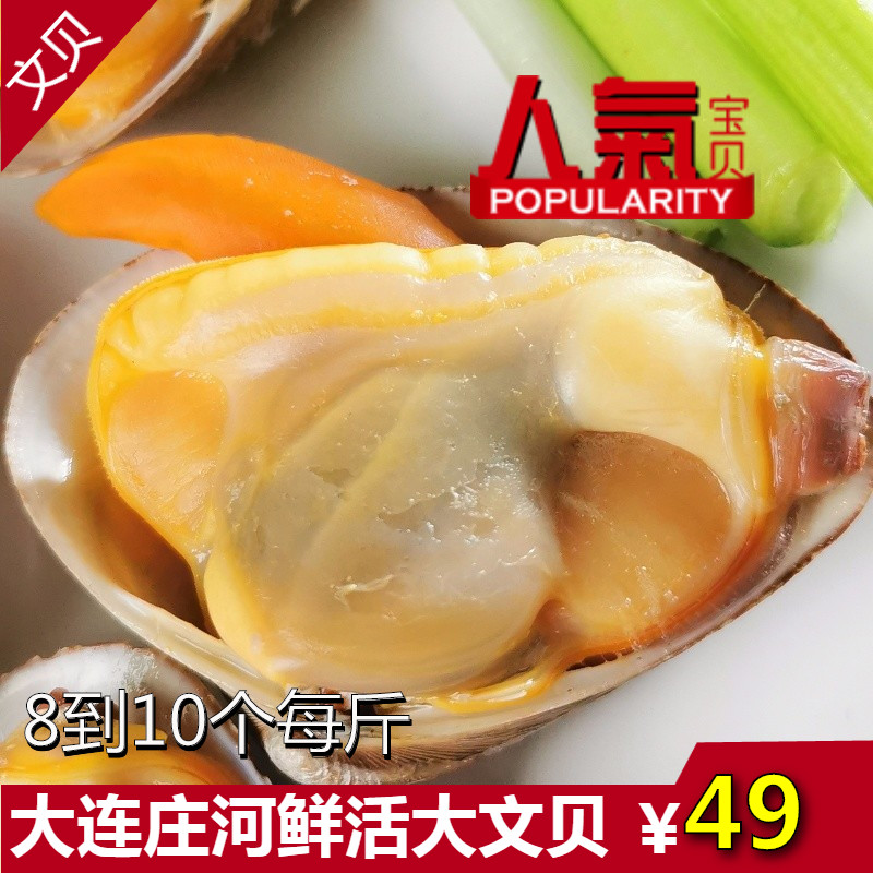 Dalian wild fresh Fresh Huangjinbei Fresh Clams Fresh Super large Big bayin the Aquatic meat/Fresh fruits and vegetables/Cooked , Seafood/Aquatic/Product , Shellfish , Shellfish Products category - from Buy2taobao.com to provide professional Taobao agent buy service