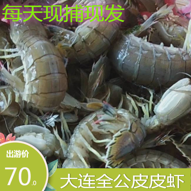 大連皮皮蝦鮮活新鮮琵琶蝦螃蟹海鮮蝦椰子蟹蛄野生大濑尿蝦蝦全公在類目 水產肉類/新鮮蔬果/熟食, 海鮮/水產品/製品, 蝦類, 活蝦中 - 來自Buy2taobao.com提供專業的淘寶代購服務