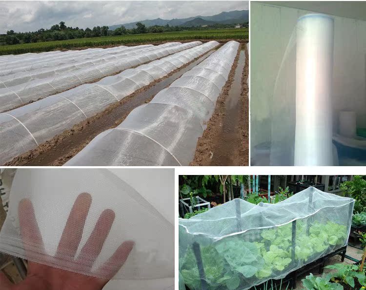 Vegetable garden Vegetables Insect greenhouse Dedicated Fruit tree Orchard Hail net Anti-bird netting transparent encryption thickening Net coverin the Flower delivery/Flowers simulation/Plants gardening , Gardening supplies , Other Garden Supplies category - from Buy2taobao.com to provide professional Taobao agent buy service