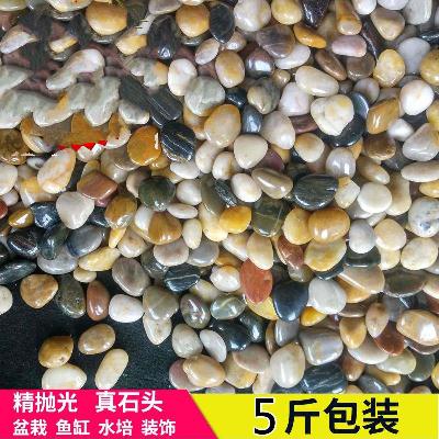 natural literature Yuchi Garden bonsai Foreshadowing natural fish tank Flower pot colour Pebble decorate Bottom Pebblein the Flower delivery/Flowers simulation/Plants gardening , Gardening supplies , Other Garden Supplies category - from Buy2taobao.com to provide professional Taobao agent buy service