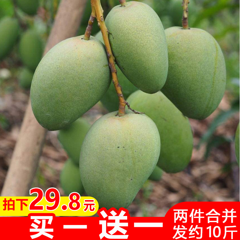 雲南本地芒果拍2件帶箱約10斤 新鮮當季水果香芒玉芒青皮芒 包郵在類目 水產肉類/新鮮蔬果/熟食, 新鮮水果, 芒果中 - 來自Buy2taobao.com提供專業的淘寶代購服務