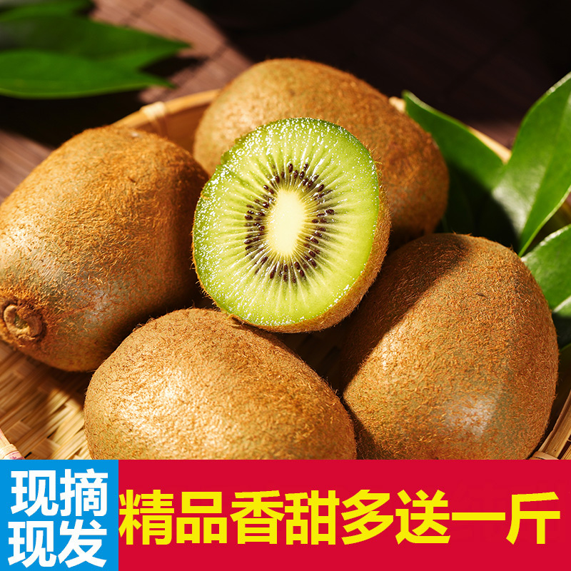 徐香猕猴桃新鲜水果5斤批发包邮当季新鲜绿心奇异果非黄心|msdalam kategori daging perikanan/Buah-buahan segar dan sayur-sayuran/dimasak, buah-buahan segar, Kiwi/Kiwi - dari Buy2taobao.com untuk memberikan perkhidmatan ejen Taobao profesional membeli
