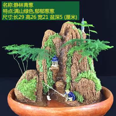 吸水石招财盆景上水石摆件鱼缸奇石微喷泉流水家居假山景观观赏石在类目 鲜花速递/花卉仿真/绿植园艺, 园艺用品, 其它园艺用品中 - 来自Buy2taobao.com提供专业的淘宝代购服务