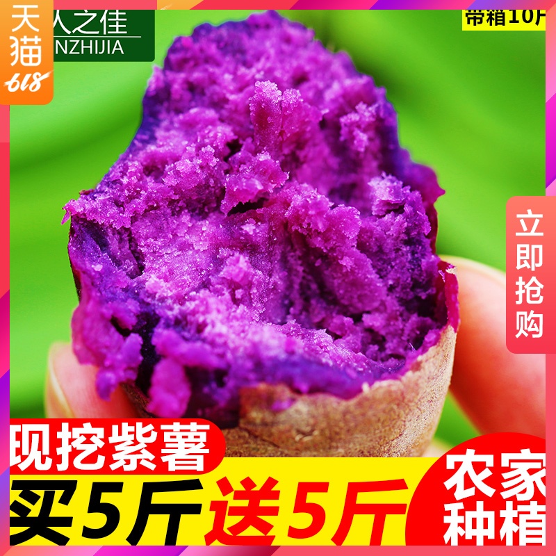 现挖新鲜紫薯10斤糖心蜜薯农家蔬菜自种地瓜烟薯小香薯5带箱批发|ruв категории водной мясо/свежие фрукты и овощи/еда, свежие овощи/овощной продукции, свежие овощи, сладкий картофель - от Buy2taobao.com для оказания профессиональной услуги покупки агента Taobao