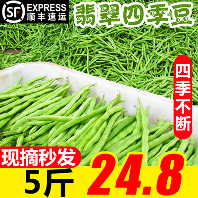 顺丰四季豆新鲜5斤芸豆长豆角农家蔬菜包邮3甜青豆角扁豆油豆角