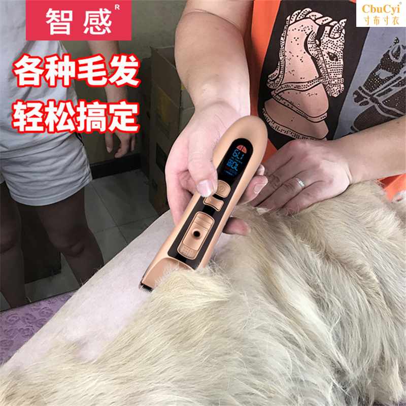 宠物店专用电推子给狗狗理发器电推剪狗毛神器泰迪剃毛机工具猫咪在类目 个人护理/保健/按摩器材, 美发工具, 理发器中 - 来自Buy2taobao.com提供专业的淘宝代购服务